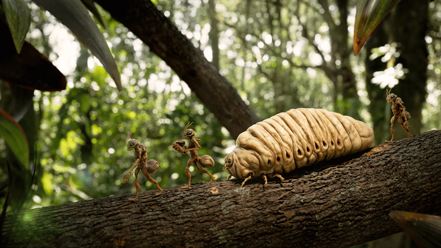 Creature Studies image 4